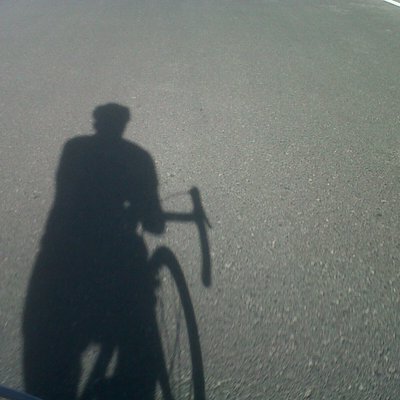 Profile Picture of David Hermans (@TriKaDavid) on Twitter