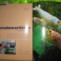 Profile Picture of rolex18238 (@rolex18238) on Tiktok