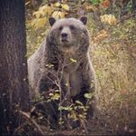 Tallie - Instagram Profile Picture of Tallie (@peter.ignatius.staker) on Instagram