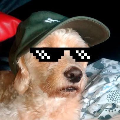 Profile Picture of Allen (@@allenn.x) on Tiktok