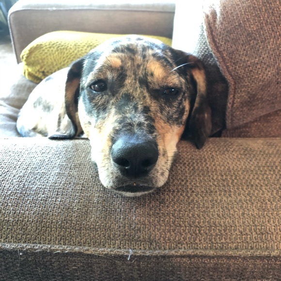 Profile Picture of Zach Taeger (@zachtae25) on Poshmark