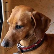 Profile Picture of Claudio Lanza (@claudiolanza6807) on Youtube