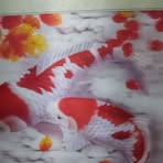 Philip James Rotas - Facebook Profile Picture of Philip James Rotas (@jameslabao29) on Facebook