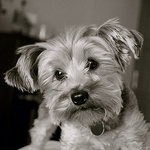 Profile Picture of Daniel Albarran Quesada (@Daniel Albarran) on Flickr