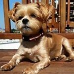 Profile Picture of Dominick Aiello (@aiello.dominick) on Instagram