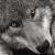 Profile Picture of Dávid Schlecht (@240918759) on Myspace