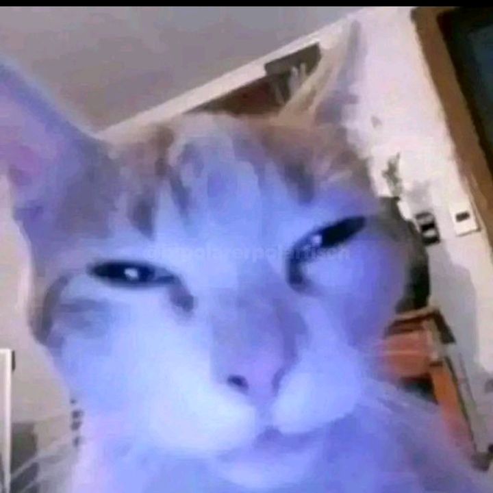 Profile Picture of Kevin Heil (@heillevin) on Tiktok