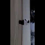 Profile Picture of Zulma Jimenez (@DiVaFlY4ever) on Youtube