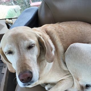 Profile Picture of Mark Servey (@mark.servey.33) on Facebook