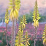 Profile Picture of David walker (@fundomonardez) on Instagram