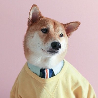 Profile Picture of Nati Namvong (@_nati) on Twitter