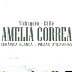 Profile Picture of Amelia Correa (@ameliacorreaceramicas) on Instagram