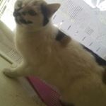 Profile Picture of alyce.on (@caline.alyson) on Instagram