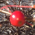 Profile Picture of jaclyn_hines2002 (@jaclyn_hines2002) on Instagram