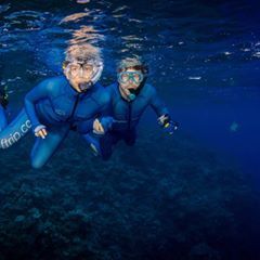 Profile Picture of Lindsey Ahlen (@lindseyahlen) on Tiktok