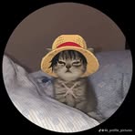 Profile Picture of Boss Jonathan (@Boss-Jonathan) on Facebook