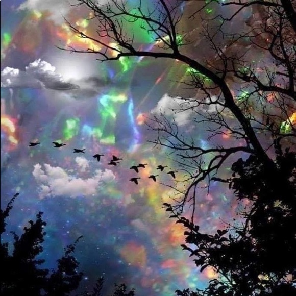 Victoria Lamonaca - Poshmark Profile Picture of Victoria Lamonaca (@vcourt947) on Poshmark