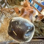 Profile Picture of Jack Tepper (@tepperjack) on Instagram