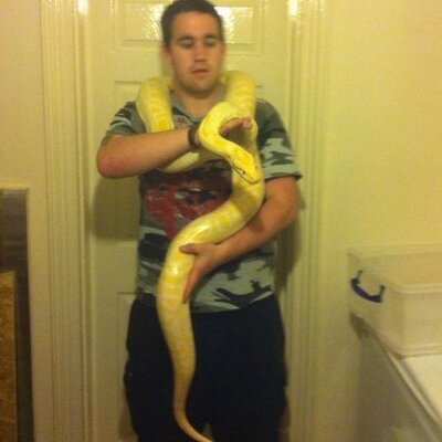 Profile Picture of Daniel Warne (@DanoWarne) on Twitter