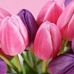 Profile Picture of Susha Sukumaran (@susha.sukumaran) on Facebook