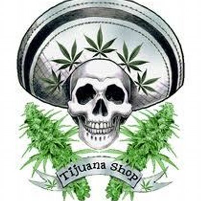 Profile Picture of Erik Ceballos Soto (@erikceballossot) on Twitter