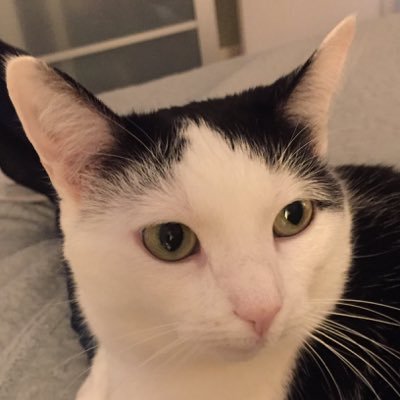 Profile Picture of Josette Jones (@jajo212) on Twitter