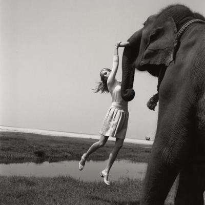 Profile Picture of Rowan Daniels (@daniels_rowan) on Twitter