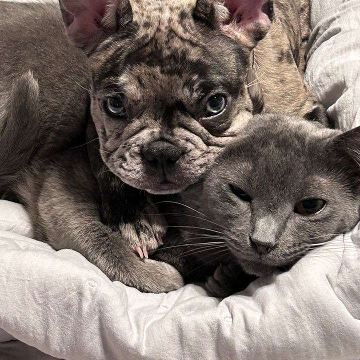 Profile Picture of maryleffingwell77 (@maryleffingwell77) on Tiktok