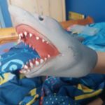 Profile Picture of shark puppet tow (@debbie.baker.5817) on Instagram
