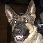 Profile Picture of Derek Breuer (@derek.burrrrrrrrrrrr.24) on Instagram