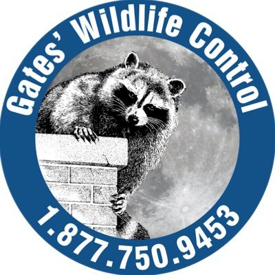 Profile Picture of Brad Gates (@GatesWildlife) on Twitter