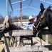 Profile Picture of Peter Wendt (@peter.wendt.355) on Facebook