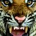 Profile Picture of Joshua Witham (@bungeeminuscord) on Pinterest