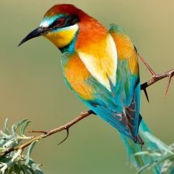 Profile Picture of Kasandra Jiménez (@KasandraJmnz) on Twitter