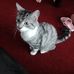 Profile Picture of Kelly Hawkes (@Kelly-Hawkes) on Facebook