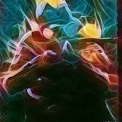 Profile Picture of Damian Weber (@damianweber3735) on Youtube