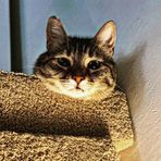 Gizem Özçelik - Facebook Profile Picture of Gizem Özçelik (@gizem.turnator.5) on Facebook