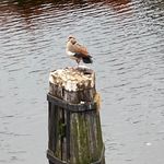 Profile Picture of Dylan Hardy (@dylan.hardy.9235199) on Instagram