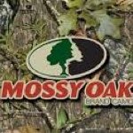 Profile Picture of Andrew Nuckolls (@yamahaman110) on Instagram