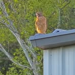 Diana Norvell - Facebook Profile Picture of Diana Norvell (@diana.norvell.2025) on Facebook