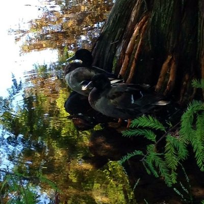 Profile Picture of Jordan Peek (@JordanPeek13) on Twitter