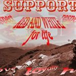 Profile Picture of Earl Summers (@earlsummers5479) on Instagram