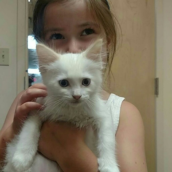 Abigail Deschaine - Poshmark Profile Picture of Abigail Deschaine (@adeschaine) on Poshmark