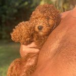 Profile Picture of Kirby Rae🎀 (@kirby_g.doodle) on Instagram