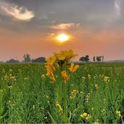 Profile Picture of Samad__sheikh (@samad__400) on Youtube