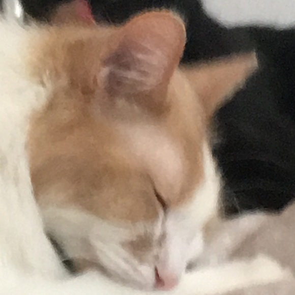 Luca Moskiewicz - Poshmark Profile Picture of Luca Moskiewicz (@lmoskiew) on Poshmark