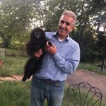 Profile Picture of Cherif Alaoui (@__weichert_realtors_) on Instagram