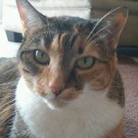 Profile Picture of Stacey Mitchell (@stacey-mitchell-29) on Quora