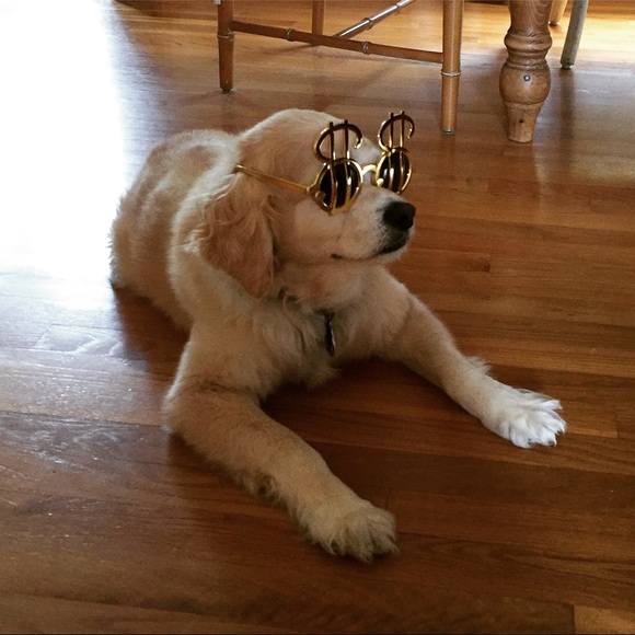 Profile Picture of Holly Kelfer (@hkelfer) on Poshmark