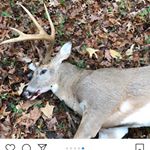Profile Picture of Blake Higdon (@blakehigdon2005) on Instagram